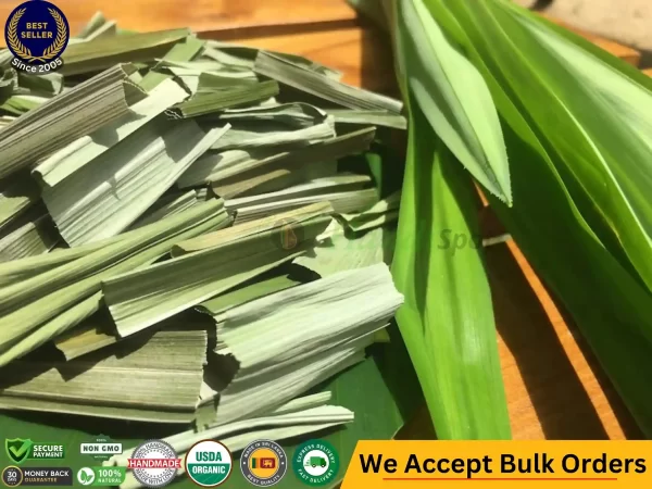 Premium Pandan Leaf & Frozen Pandan Leaves Where to Buy Pandan Leaves Near Me Sri Lankan Natural Products handispot.com 1