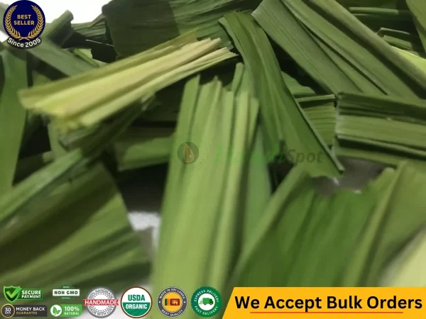 Premium Pandan Leaf & Frozen Pandan Leaves Where to Buy Pandan Leaves Near Me Sri Lankan Natural Products handispot.com 3