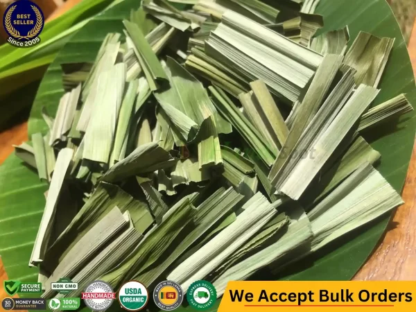 Premium Pandan Leaf & Frozen Pandan Leaves Where to Buy Pandan Leaves Near Me Sri Lankan Natural Products handispot.com 4