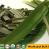 Premium Pandan Leaf & Frozen Pandan Leaves Where to Buy Pandan Leaves Near Me Sri Lankan Natural Products handispot.com 5